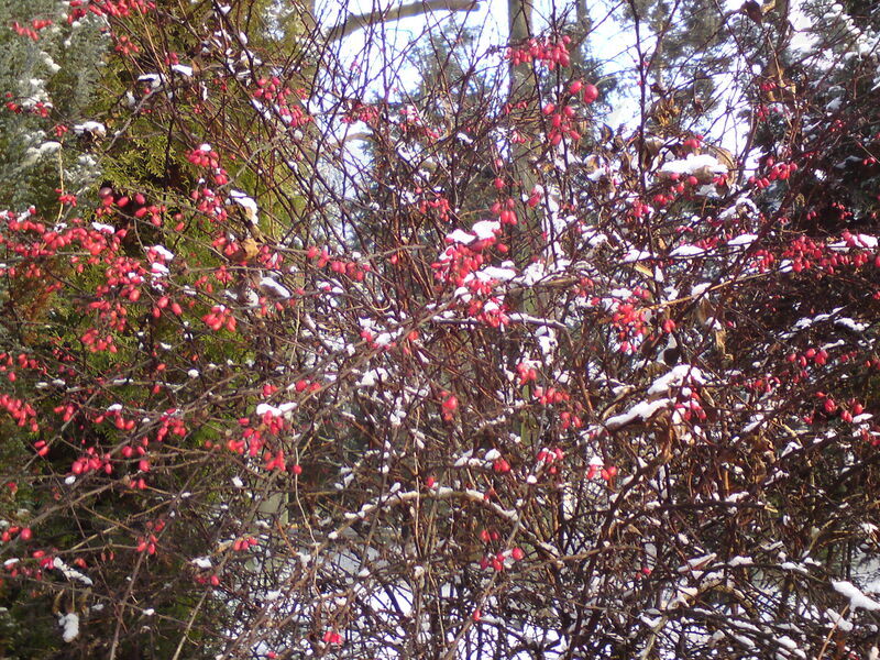 foto-5299.jpg