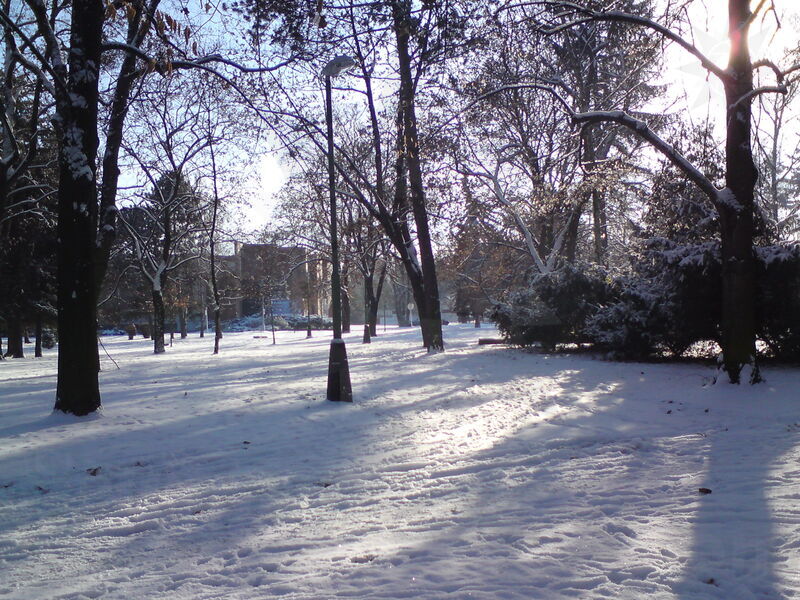 foto-5191.jpg