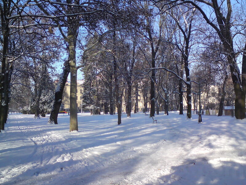 foto-5193.jpg