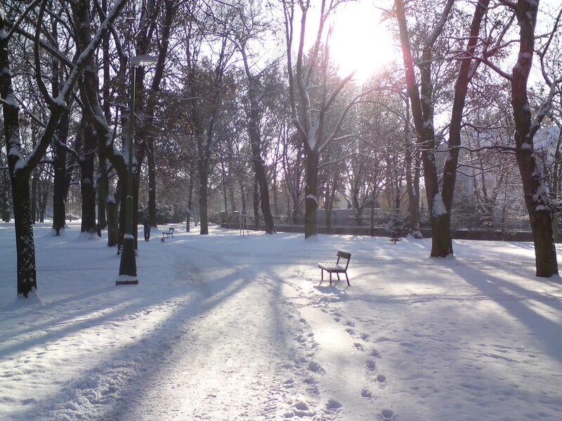 foto-5195.jpg