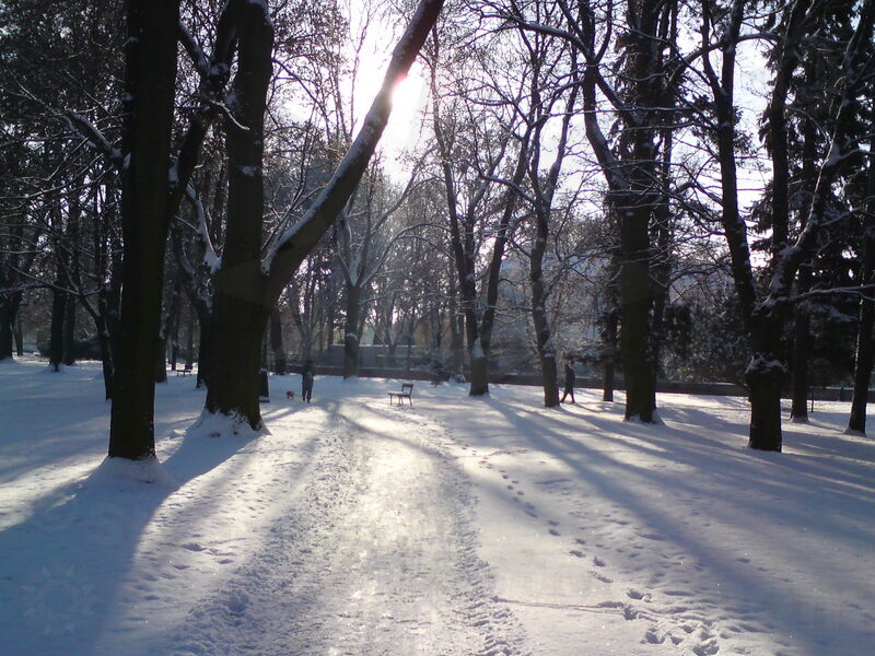 foto-5197.jpg