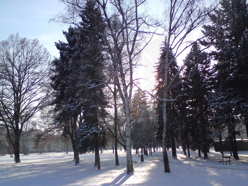 foto-5220.jpg