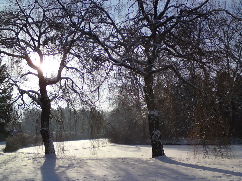 foto-5224.jpg