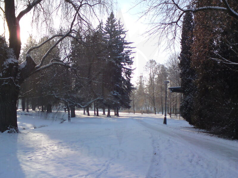 foto-5228.jpg