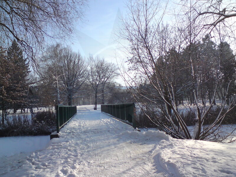 foto-5232.jpg