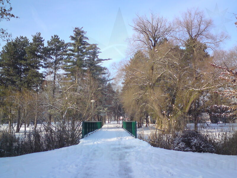 foto-5234.jpg