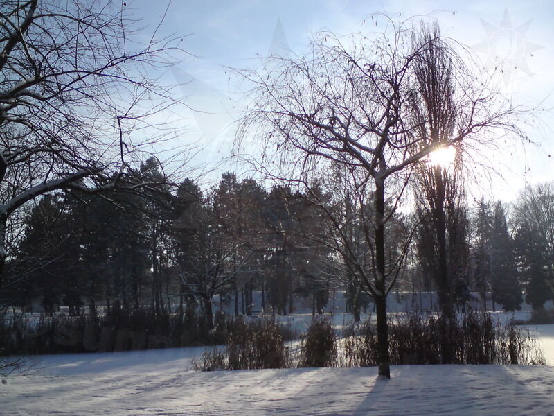 foto-5242.jpg