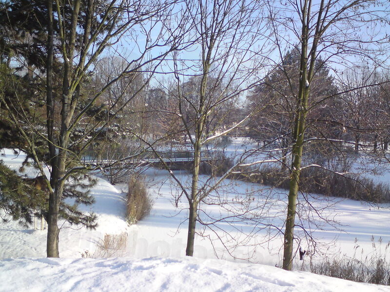 foto-5246.jpg