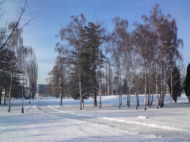 foto-5261.jpg