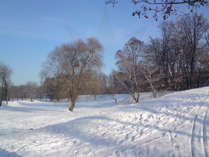 foto-5270.jpg