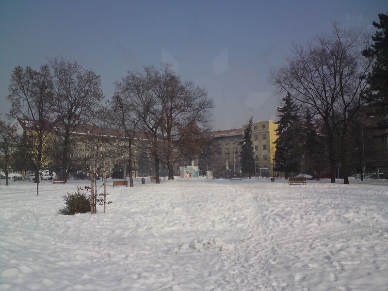 foto-5384.jpg
