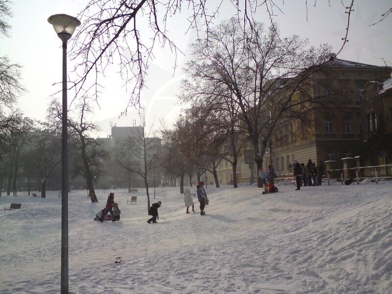 foto-5390.jpg