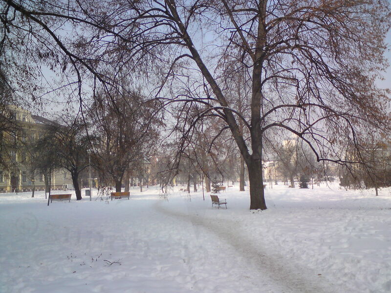 foto-5400.jpg