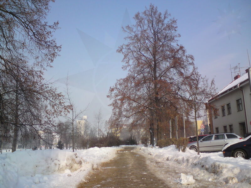 foto-5405.jpg