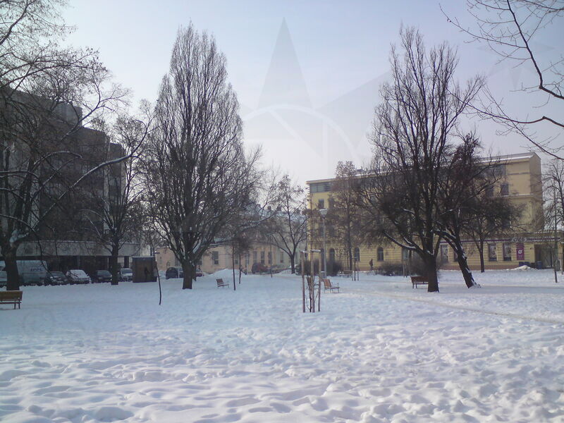 foto-5407.jpg