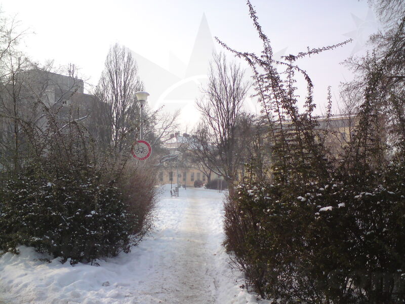 foto-5409.jpg