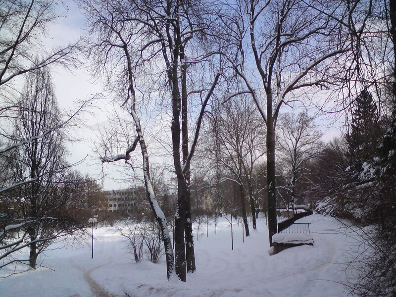 foto-5432.jpg
