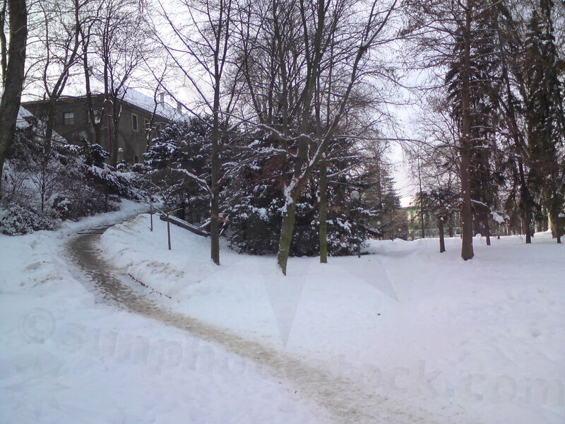 foto-5434.jpg