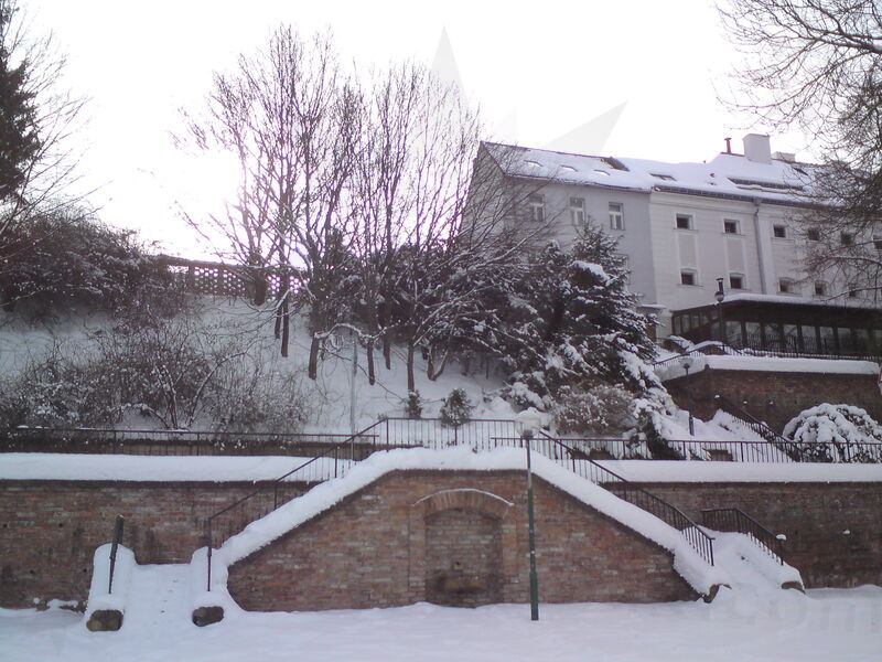 foto-5439.jpg