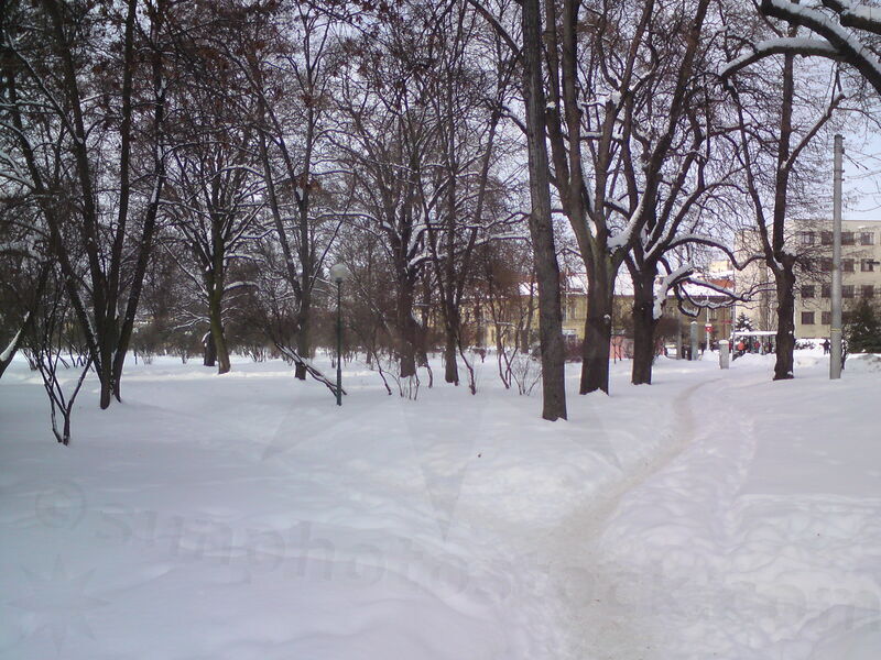 foto-5446.jpg