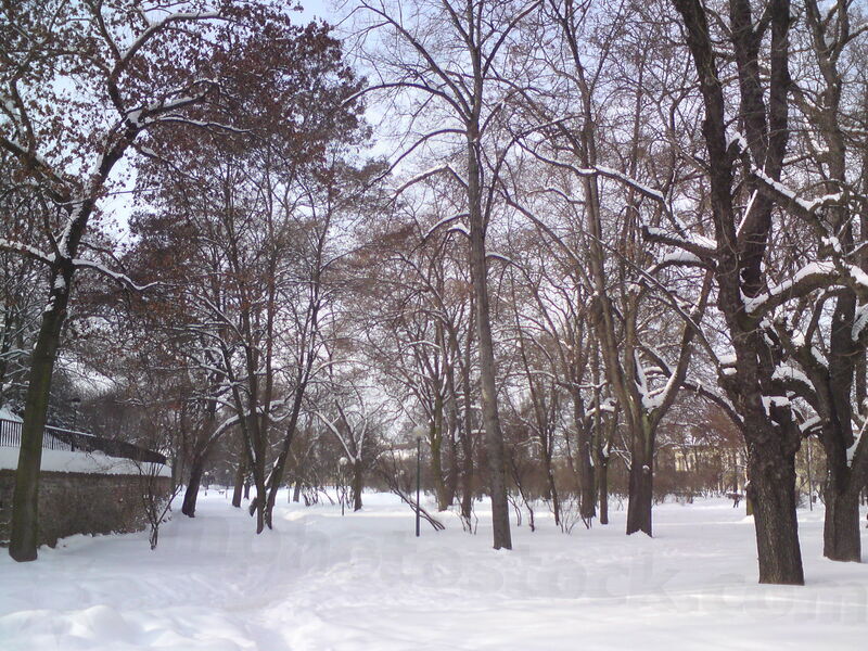 foto-5447.jpg