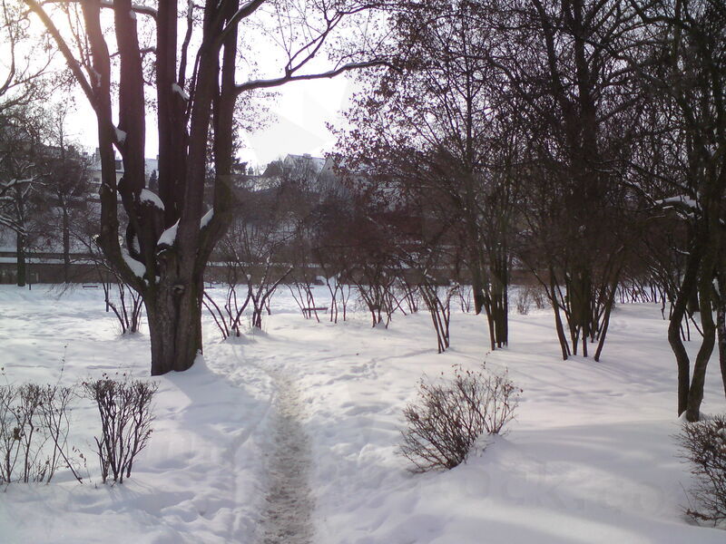 foto-5474.jpg
