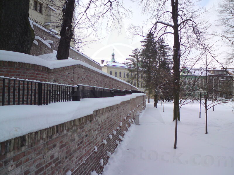 foto-5493.jpg