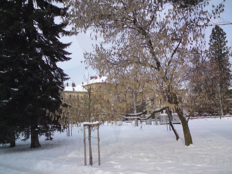 foto-5502.jpg