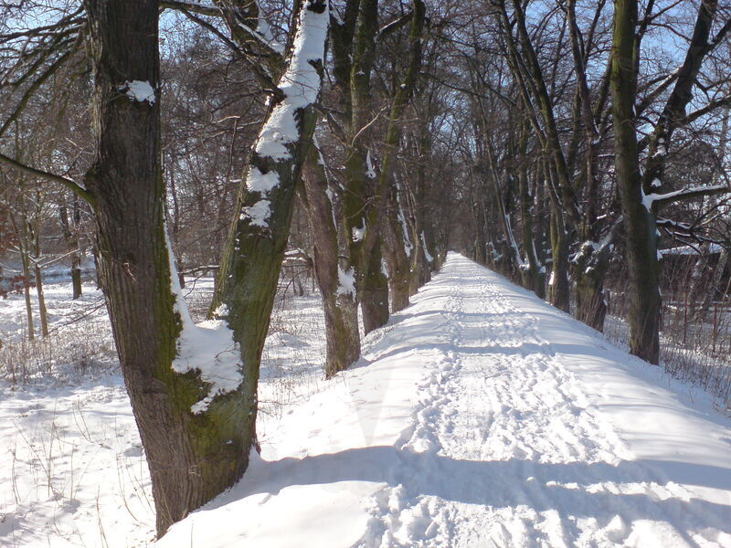 foto-0001.jpg