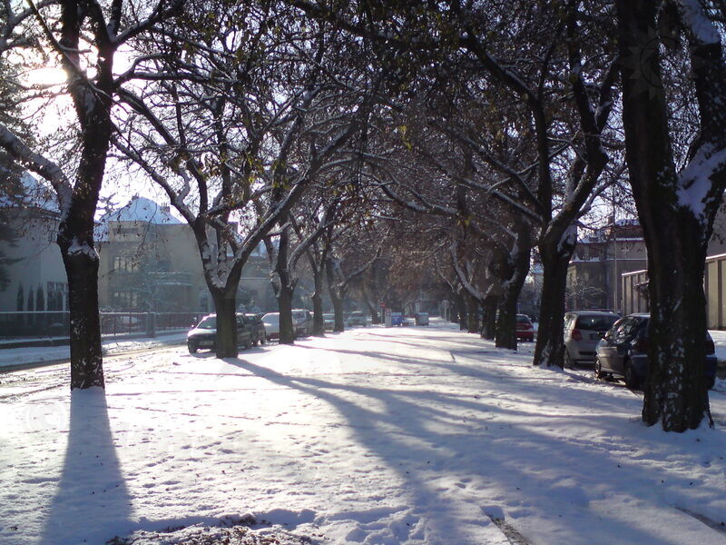 foto-5182.jpg