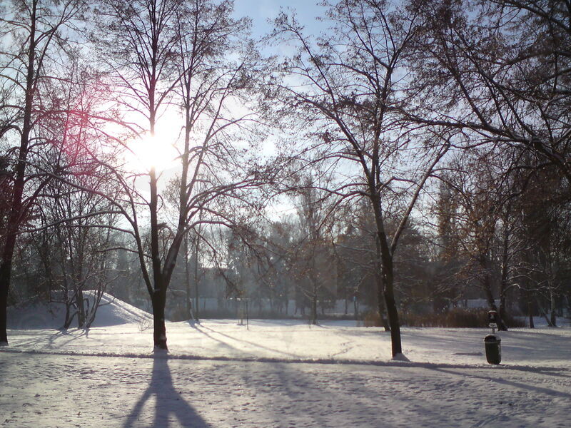 foto-5231.jpg